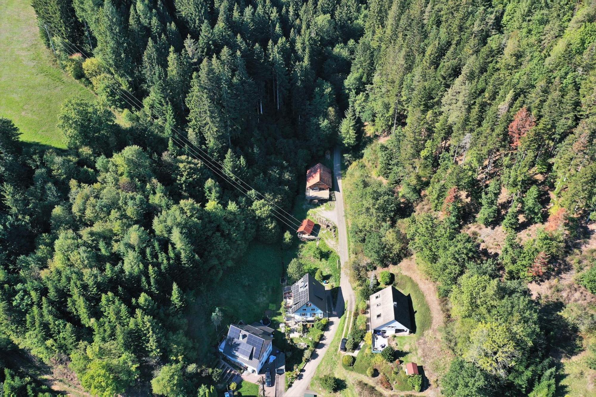Schwarzwald Blockhaus - Sauna - Kamin - Mit Bettwaesche Und Handtuecher Schenkenzell ภายนอก รูปภาพ